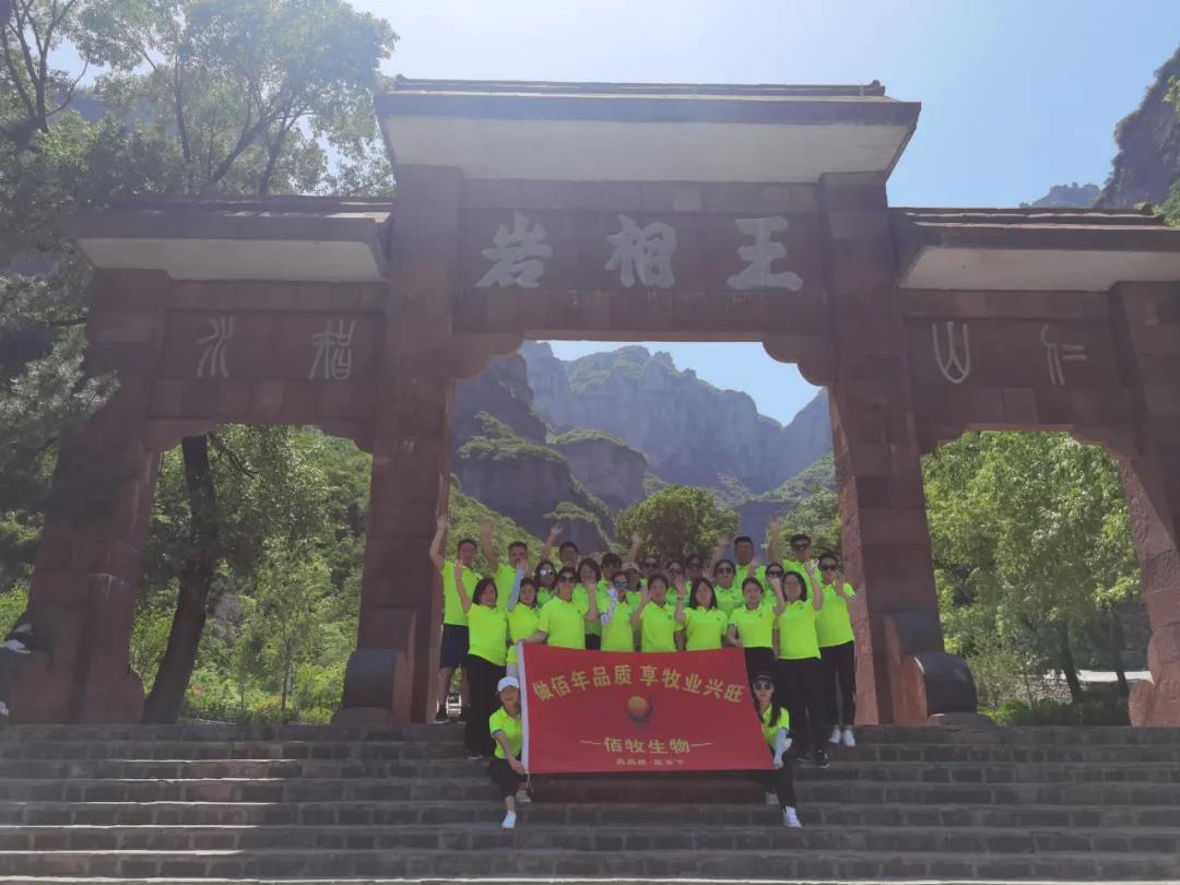 太行山7.jpg