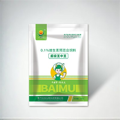 超级王中王