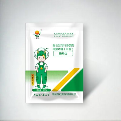 肠动力